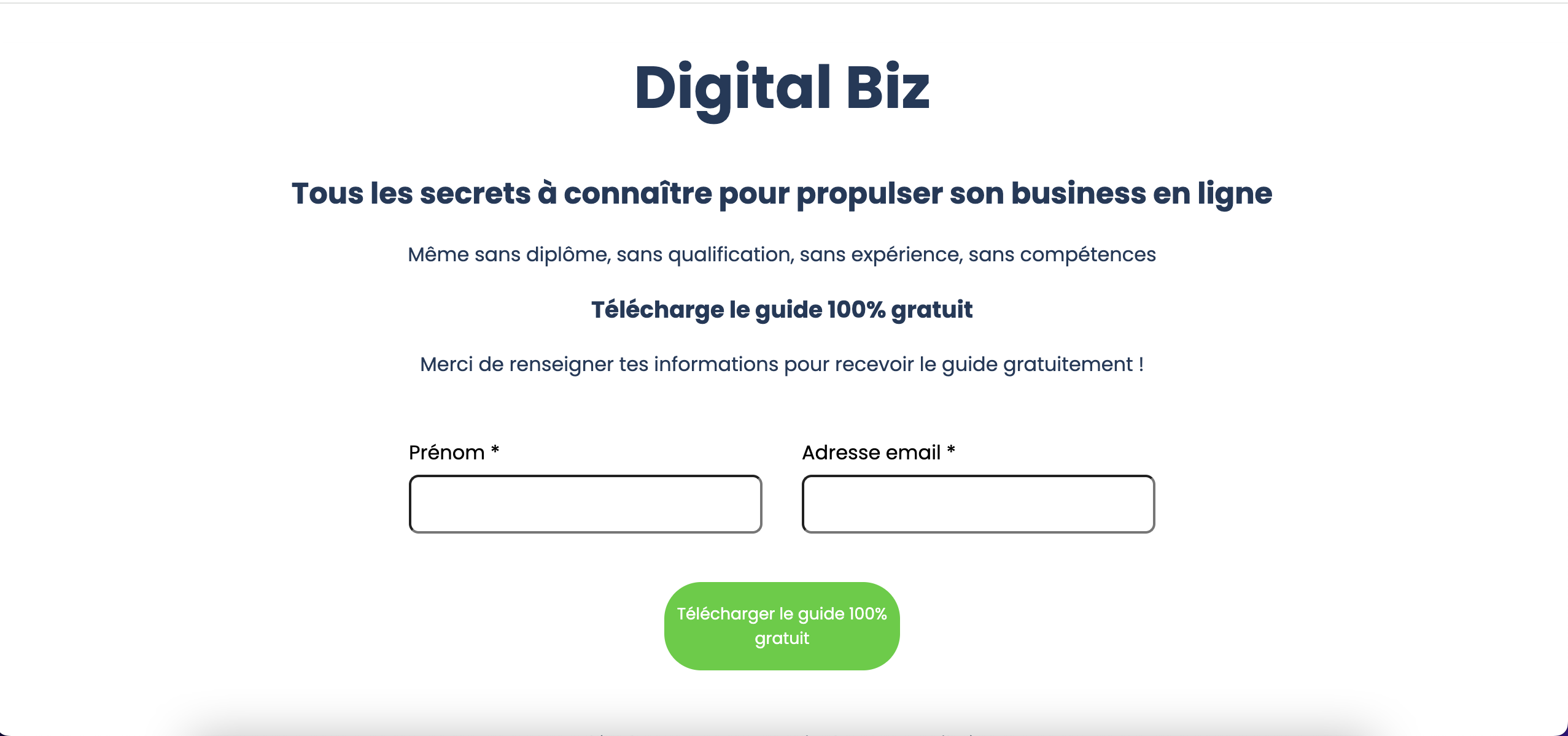 capture d'écran de Digital Biz